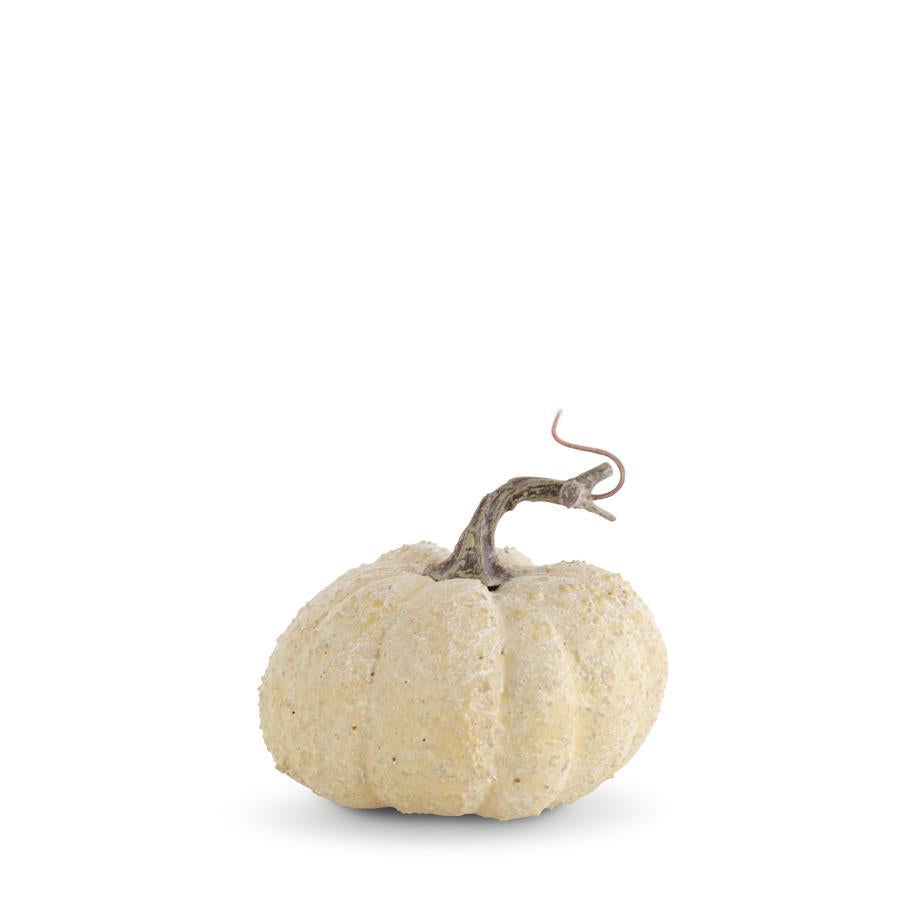 Whitewashed Textured Pumpkin