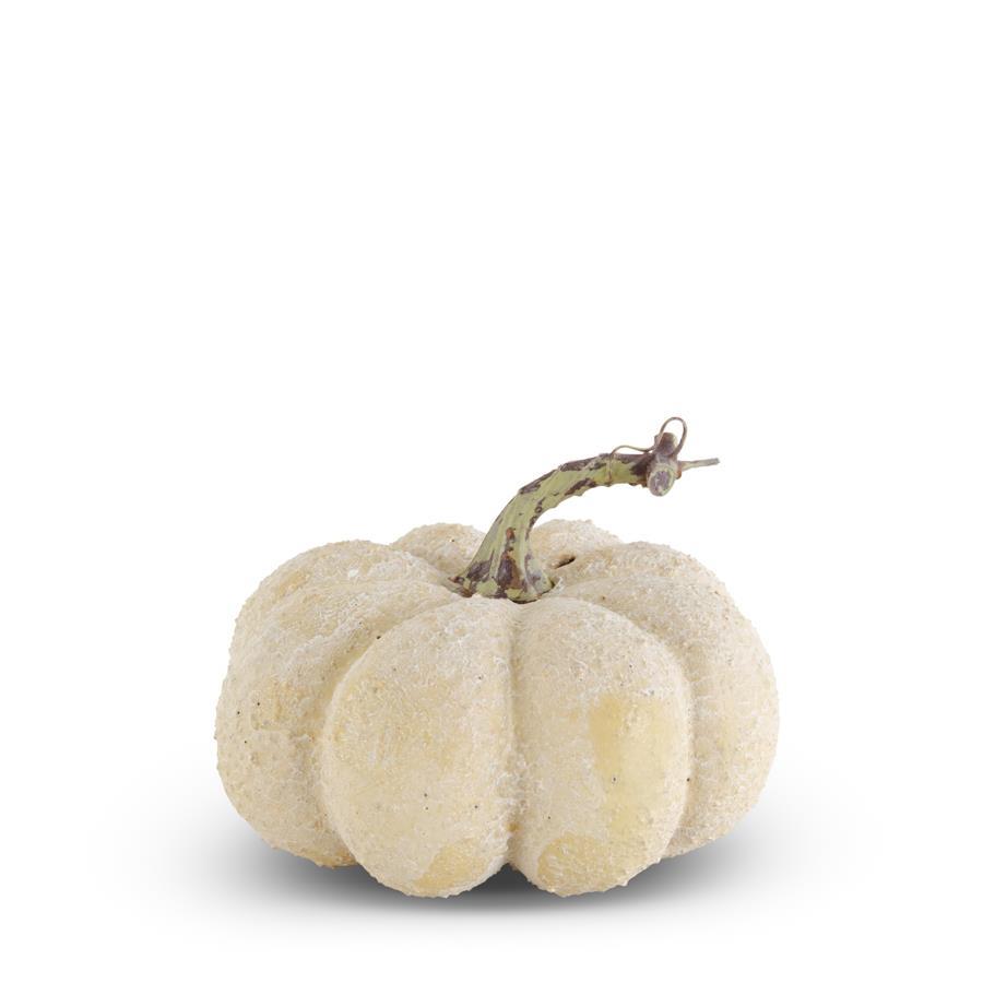 Whitewashed Textured Pumpkin