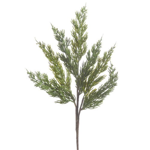 18" Evergreen Branch